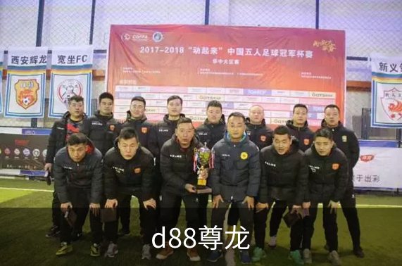 了解d88尊龙